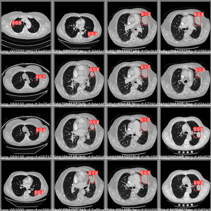 Sample detections by YOLOv5s